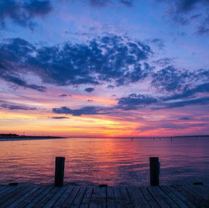 Meet your Posher, Ronald